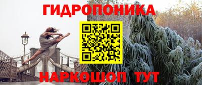 СК Нальчик