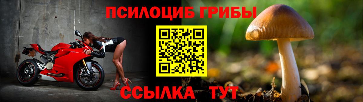 Вязьма  Галлюциногенные грибы мицелий  Вход с VPN 